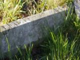 image of grave number 958727